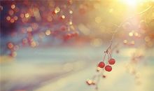 双子座经常因为什么而后悔