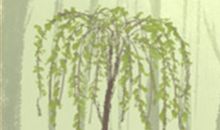 当双鱼座面临冰桶效应