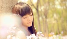 天秤评委的表现