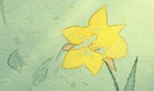 处女座最爱“晒”什么