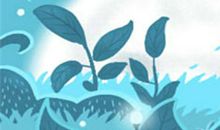 双子座是如何挑选月饼