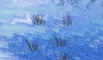 解析：12星座老来无依的原因