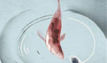 巨蟹座该小心的财富蛀虫