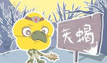 生日性格 11月14日出生的人