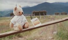 白羊座2018年整体运势