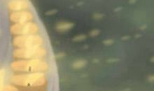 木星入狮子对狮子座来年的影响