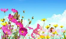 让双鱼座旺起来的福星