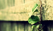 天秤座分手要犹豫多久