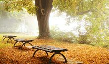 当你跟着狮子座一起去旅行