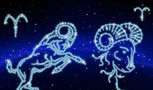 白羊座的理想配偶