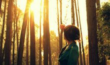 吴璧人2016年11月星座运势