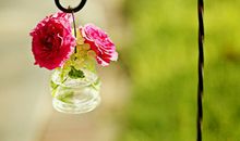 Julia Chen 2017年2月射手座运势