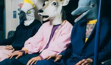 Geo老师水瓶座一周运势（3.18-3.24）