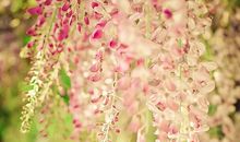 猫石对话之2013年8月26日至2013年9月1日运势