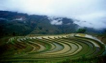 紫微十四主星本周运势（04.29——05.05）