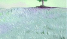 恋爱中对付天蝎男的非秘密武器