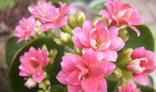 白羊座下周运势2013年3月17日—3月23日