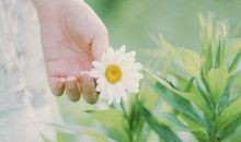 恋爱之后变得盲目的星座