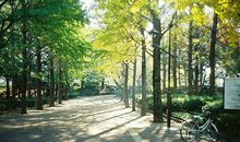 Julia Chen射手座2017年8月运势