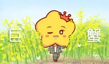 小乖麻 十二月巨蟹座运势