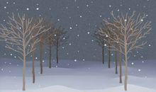 天秤座代表的花&幸运花大盘点