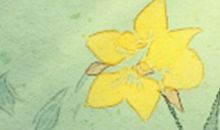 巨蟹座“剩女”原因