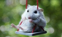 牙晓一周星座运程2013.7.29-8.4