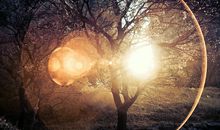 Alex射手座一周运势（3.5-3.11）