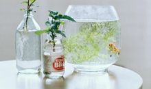 蓝蓝占星一周星座运程（7.10-7.16）