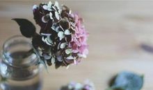 TIM:一周天秤座运势（4.29-5.5）