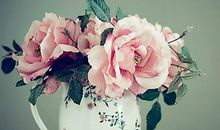 Julia Chen 2017年2月天蝎座运势