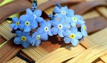 TIM:一周双子座运势（4.29-5.5）