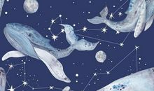 果蔬对合作型主星整体运势的帮助