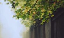 判答一周星座运势2013.7.8-7.14