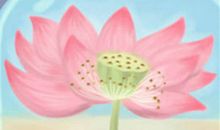 12星座哪方面最自私