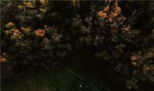 梦见自己想念的男人