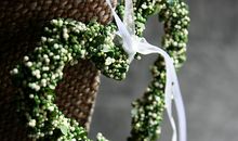 安格斯每周运势2013.6.23—2013.6.29