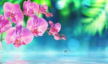 Geo老师:白羊座一周运势（4.29-5.5）