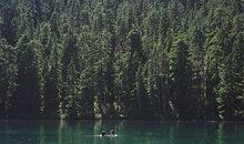 金爱伦2017年2月星座塔罗运势