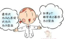 B型血婴儿的个性特点