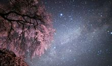 紫微十四主星本周运势2012年4月15-21日