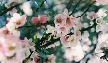 箬耶12星座一周运势6月17日—6月23日