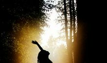 熊神进一周星座运程6月18日至6月24日