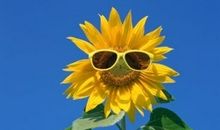 Georgia Nicols本周星座运势6.17-6.23