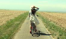 莫小棋2016年8月星座运势