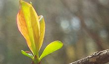 什么样的八字格局易旧情复燃