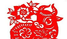 1985年是什么生肖年，1985年属什么生肖