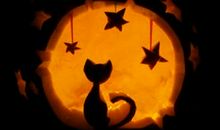 Jeff Jawer星座爱情周运2013.5.27-6.2