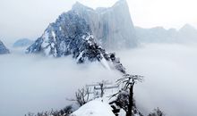 人见人爱的主星桃花女是你吗