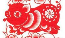 1995年是什么生肖年，1995年属什么生肖